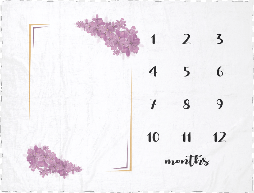 Monthly Milestone Baby Blanket With Purple Flowers Hydrangea, Flower, Plant, Text, White Board Free Transparent Png
