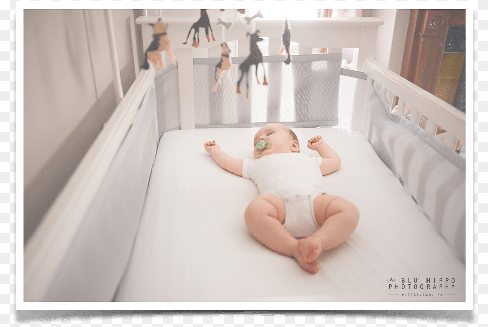 Months Baby Photographer Pittsburgh Baby, Crib, Furniture, Infant Bed, Person Png