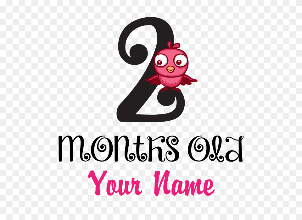 Months Old Baby Bird, Text Free Png