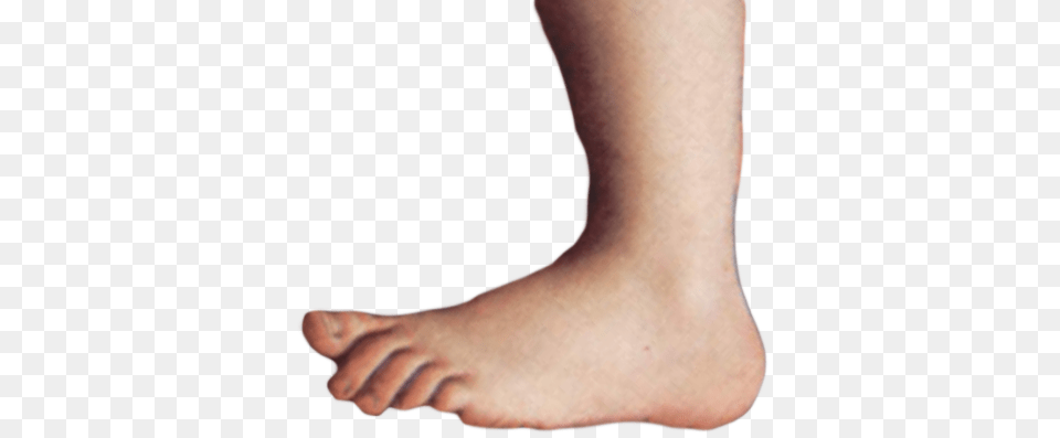 Monty Python Foot, Ankle, Body Part, Person, Baby Free Transparent Png