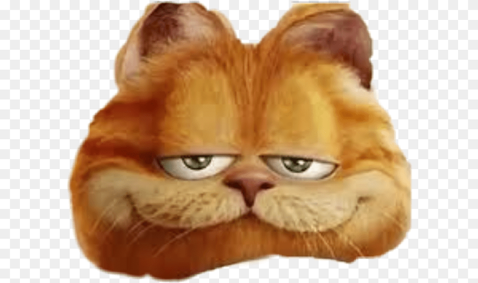 Mood Dank Meme Dankmeme Memes Memethisnow Memegangcom Garfield Movie Hd, Baby, Person, Animal, Cat Free Png