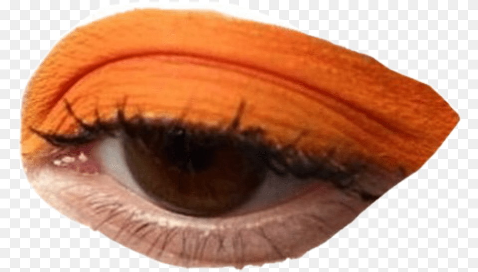 Moodboard Filler Eye Makeup Interesting Niche Meme Makeup Orange Eyeliner Png Image