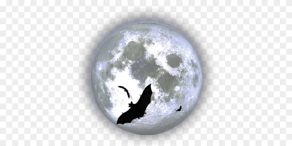 Moon 019 Moon 200 Round Coaster, Astronomy, Outdoors, Night, Nature Png Image