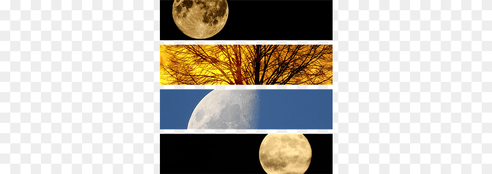 Moon Astronomy, Full Moon, Nature, Night Png