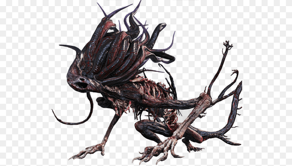 Moon Presence From Bloodborne, Animal, Insect, Invertebrate Free Png Download