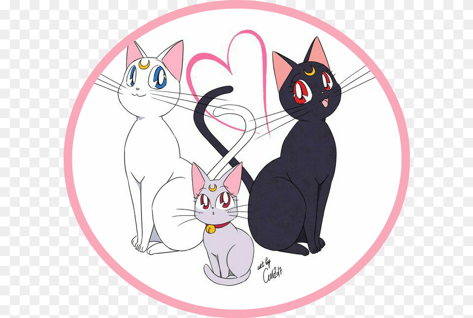 Moon Sailor Moon Luna Y Artemis, Animal, Cat, Mammal, Pet Free Transparent Png