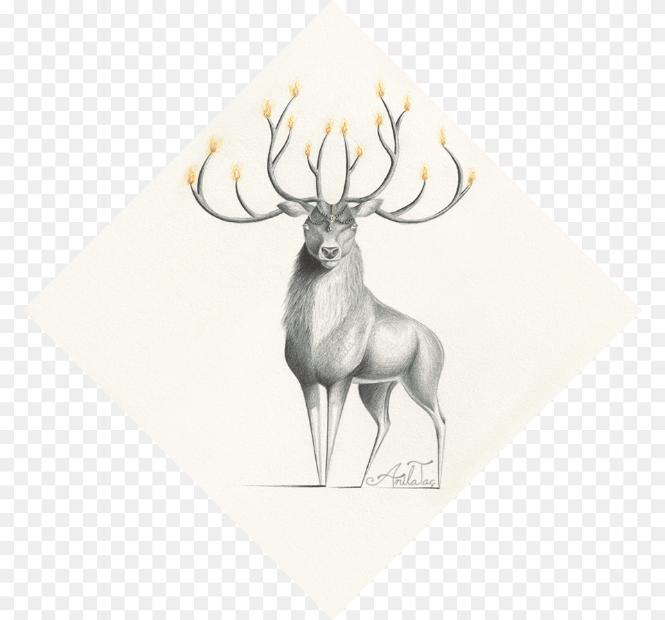 Moonwalkinghorse Artist, Animal, Deer, Elk, Mammal Free Transparent Png