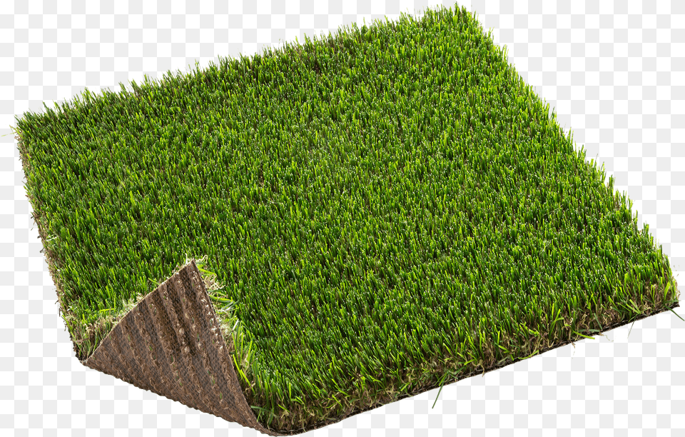 Moorland Grass Has A Shorter Blade Than Other Grasses 2x04m 2x4m Zurich Pro Cesped Nortene, Moss, Plant, Vegetation, Lawn Png
