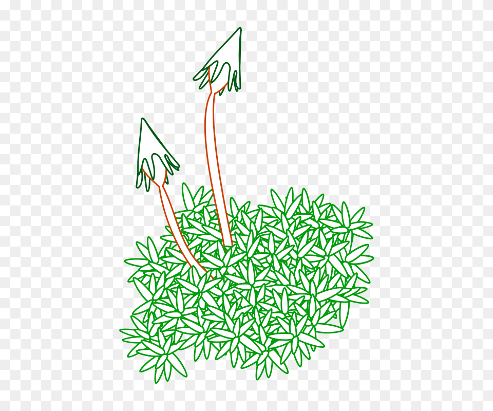 Moos, Art, Graphics, People, Person Png Image