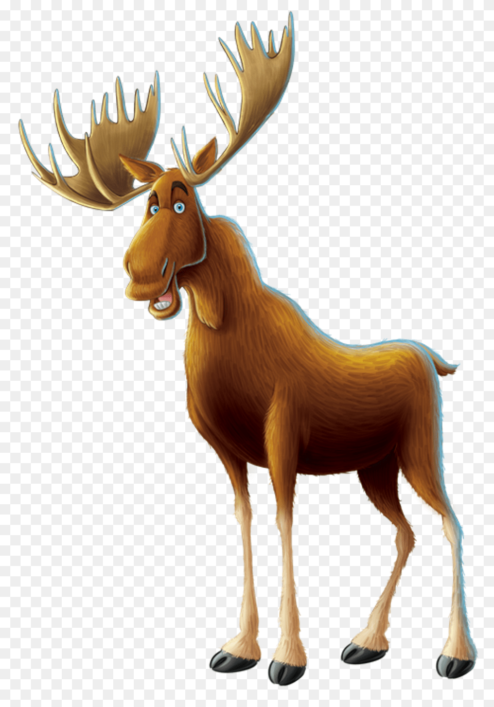 Moose, Animal, Deer, Mammal, Wildlife Png