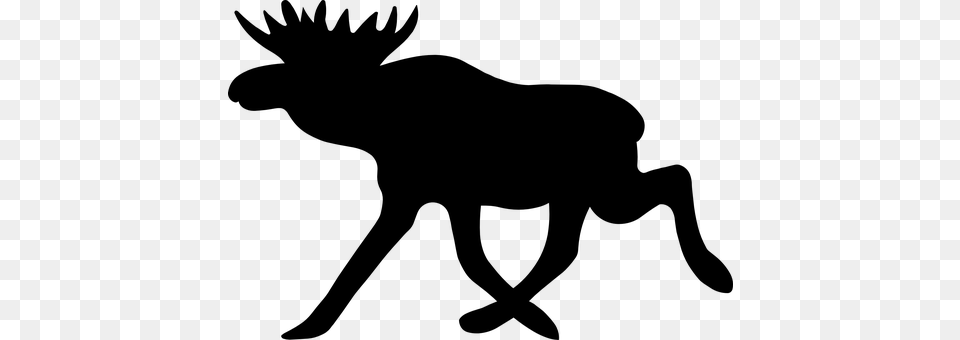 Moose Gray Png Image