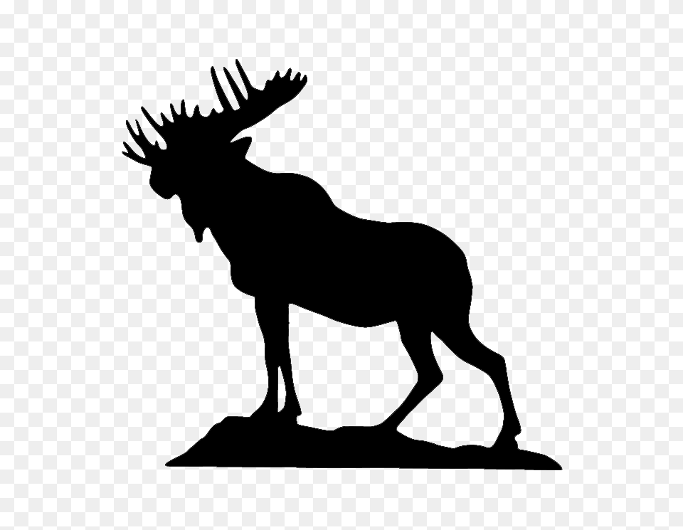 Moose, Gray Free Transparent Png