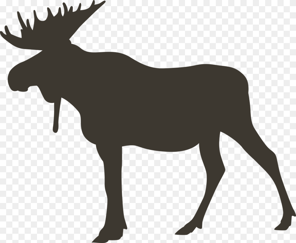 Moose, Animal, Mammal, Wildlife, Person Png Image
