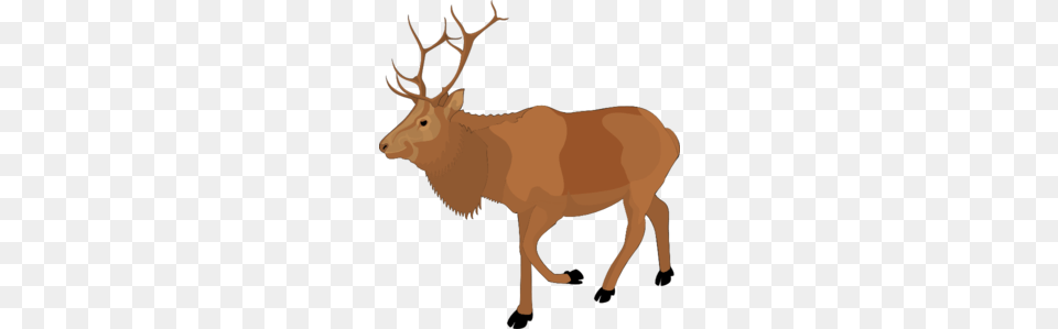 Moose, Animal, Deer, Elk, Mammal Free Png Download