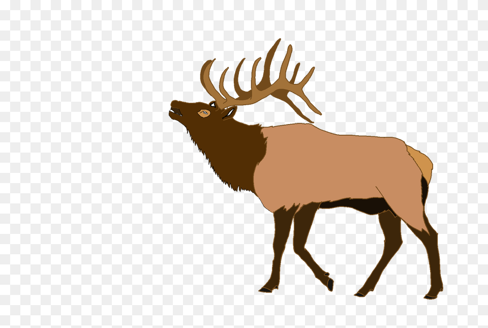 Moose, Animal, Mammal, Elk, Deer Png