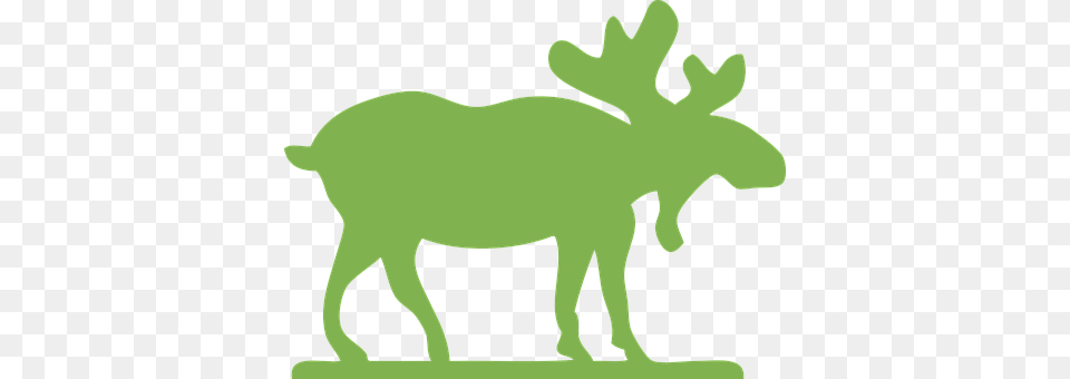 Moose Animal, Mammal, Wildlife Free Png