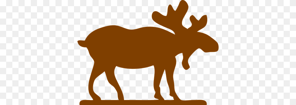 Moose Animal, Mammal, Wildlife, Chair Png Image