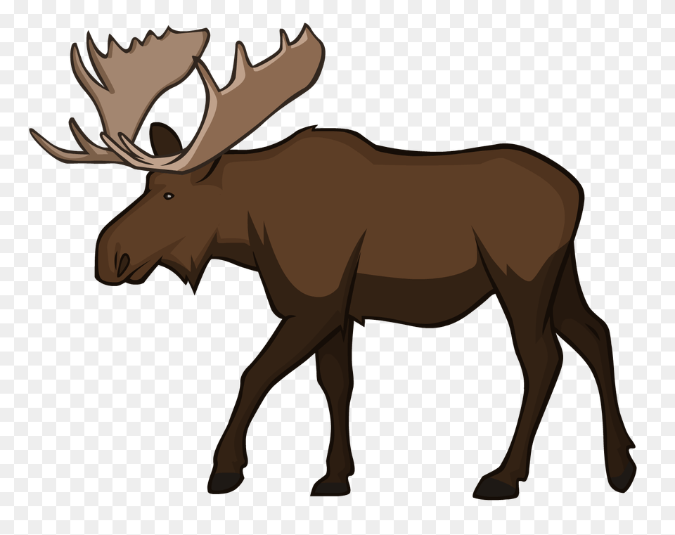 Moose, Animal, Mammal, Wildlife, Deer Free Png