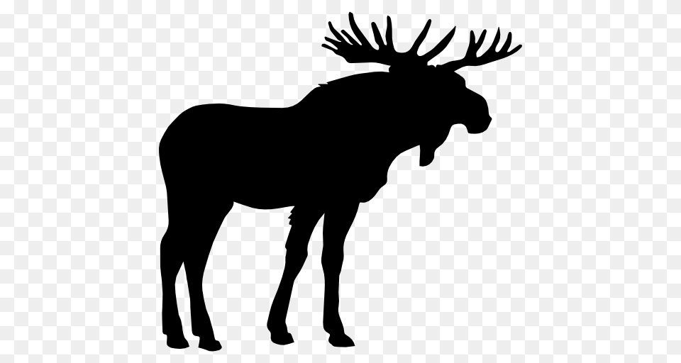 Moose, Animal, Mammal, Wildlife, Silhouette Png