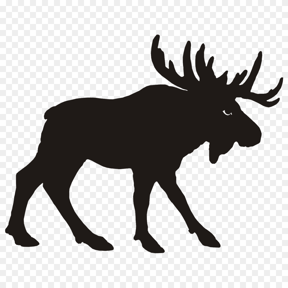 Moose, Animal, Mammal, Wildlife, Silhouette Free Png Download