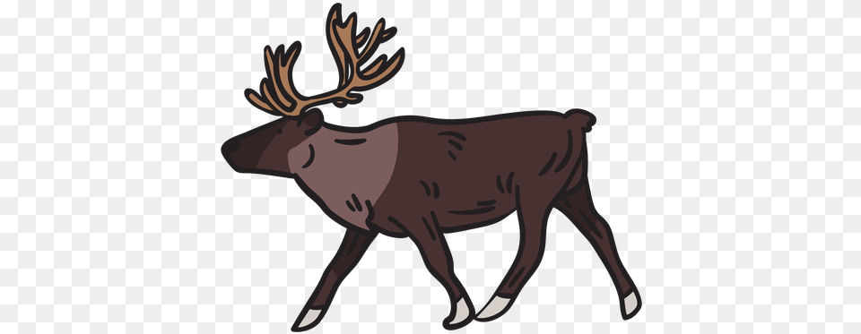 Moose Animal Antlers Illustration U0026 Svg Elk, Mammal, Deer, Wildlife, Person Free Png Download
