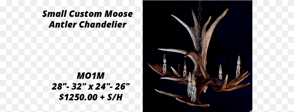 Moose Antler Chandeliers Deer Png