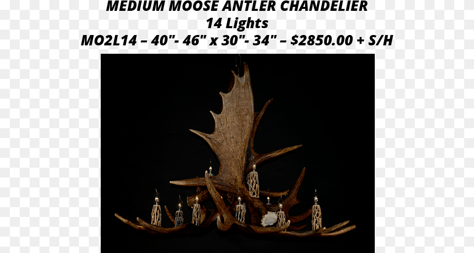 Moose Antler Chandeliers Deer, Chandelier, Lamp Free Transparent Png