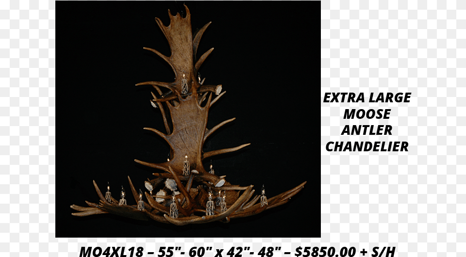 Moose Antler Chandeliers Lodgepole Pine Free Png Download