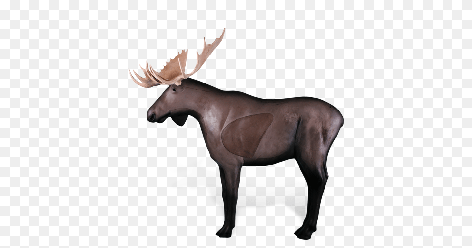 Moose Archery Target Rinehart Archery Targets, Animal, Mammal, Wildlife, Horse Free Transparent Png