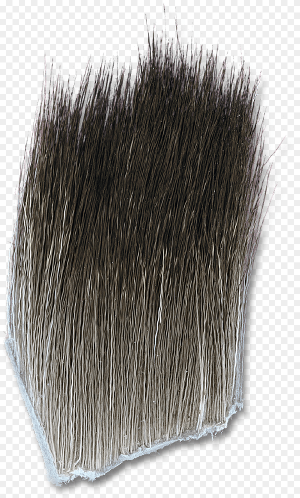 Moose Body Hair Grass, Brush, Device, Tool, Plant Png