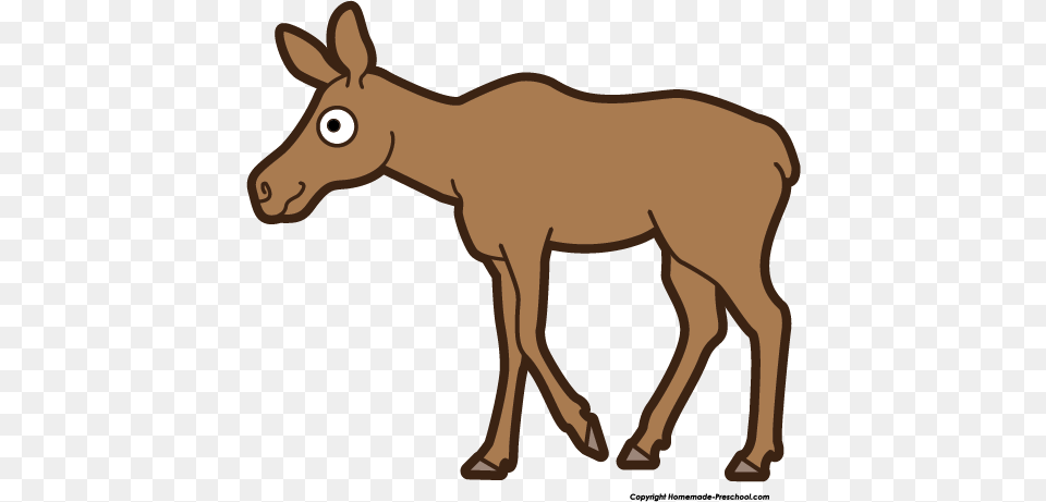 Moose Border Cliparts, Animal, Deer, Mammal, Wildlife Png