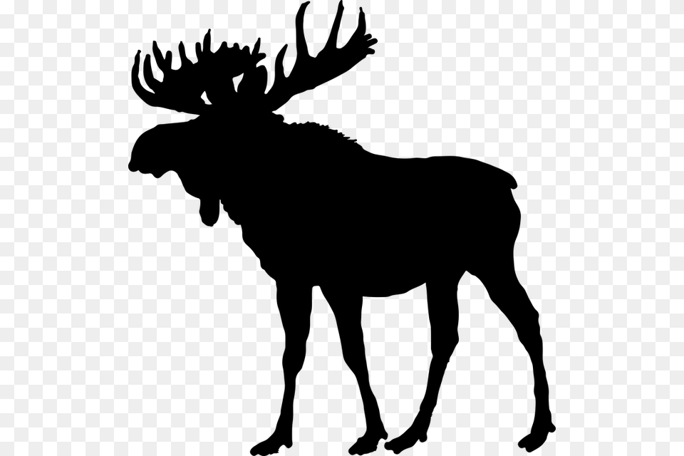 Moose Clip Art, Gray Free Png Download