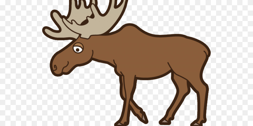 Moose Clipart, Animal, Mammal, Wildlife, Person Free Transparent Png