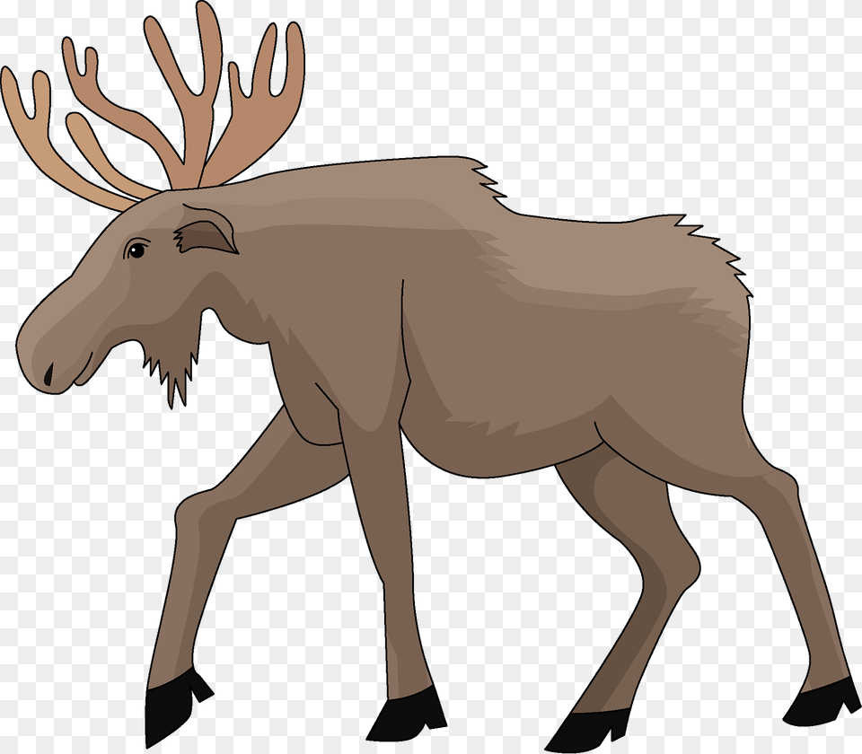 Moose Clipart, Animal, Mammal, Wildlife, Person Free Transparent Png