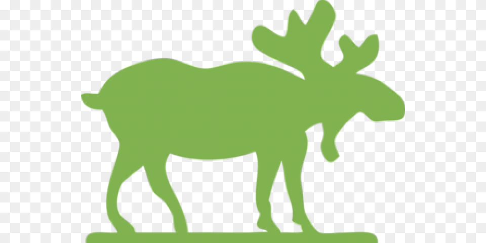 Moose Clipart, Animal, Mammal, Wildlife, Bear Png
