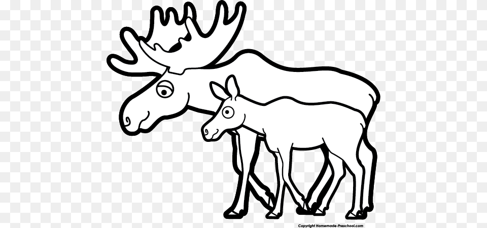 Moose Clipart, Animal, Deer, Mammal, Wildlife Free Png Download