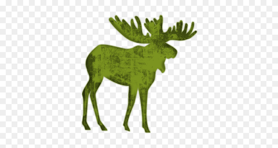 Moose Clipart, Animal, Mammal, Wildlife, Horse Png