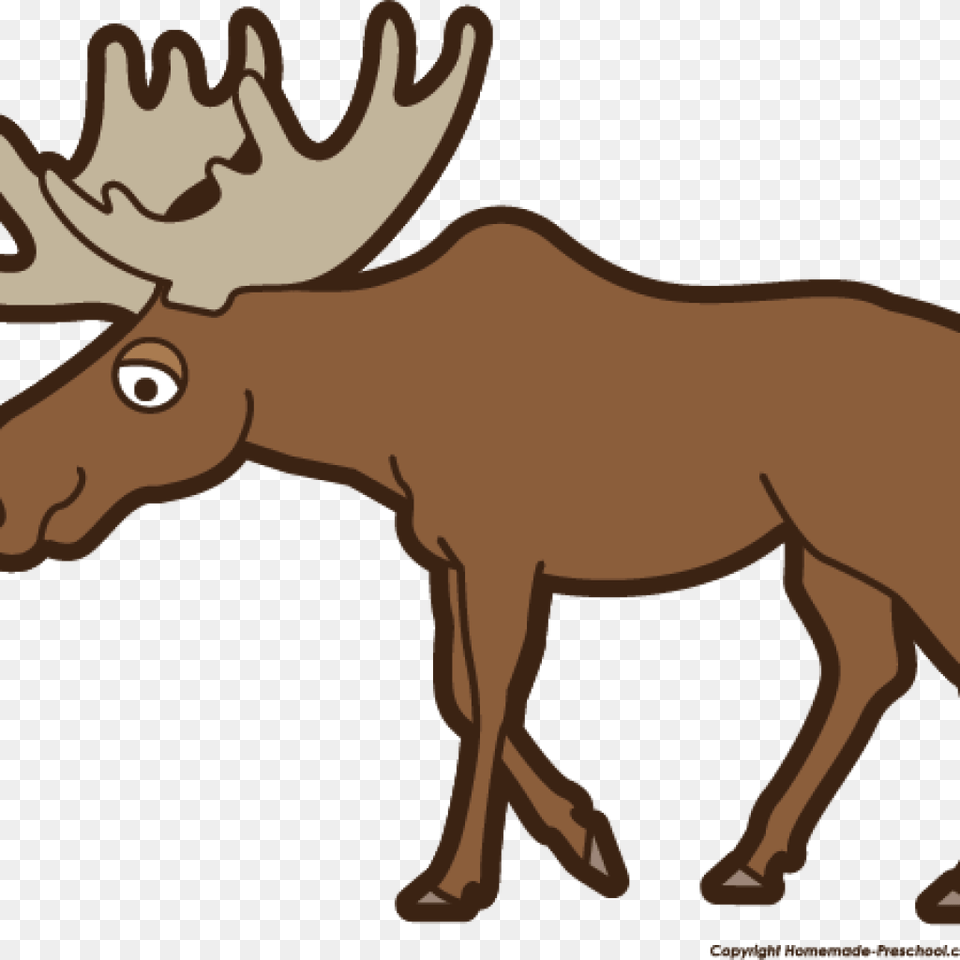 Moose Clipart Angry Money, Animal, Mammal, Wildlife, Person Free Png