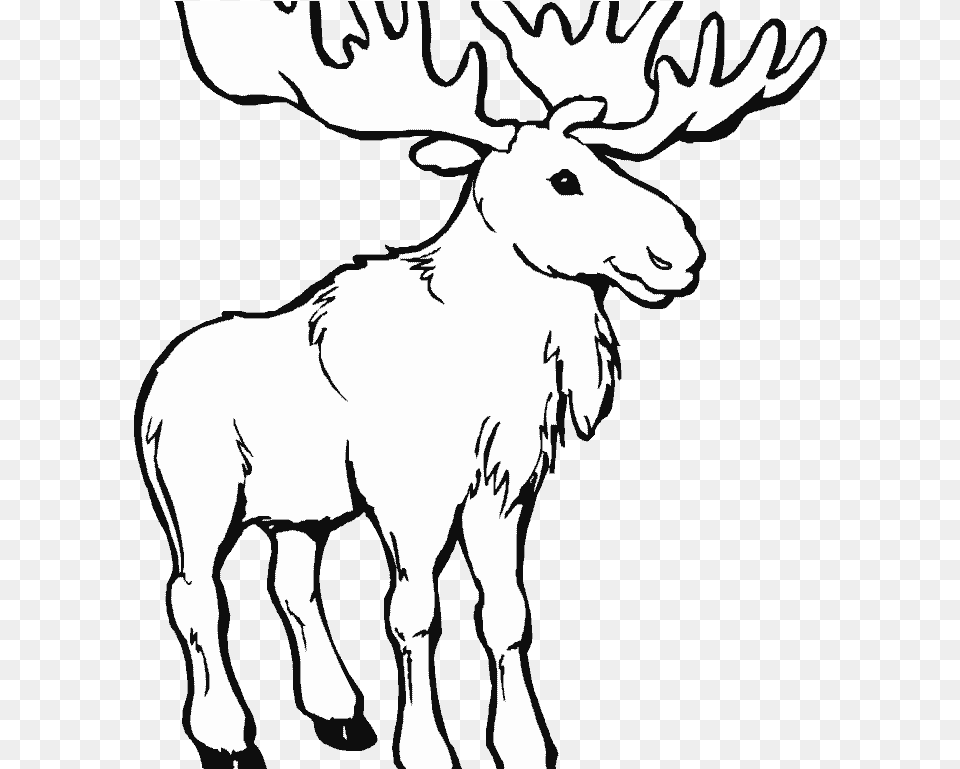 Moose Clipart Black And White Maine Moose Coloring Page, Animal, Mammal, Wildlife, Person Free Transparent Png
