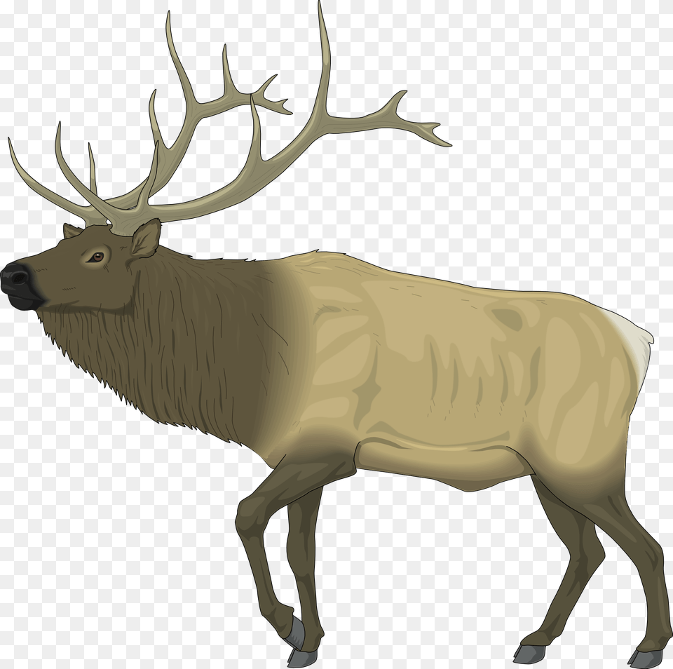 Moose Clipart Clipart Elk, Animal, Deer, Mammal, Wildlife Free Png