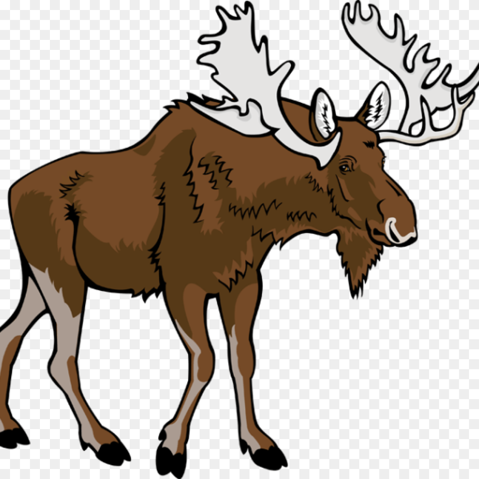 Moose Clipart Clip Art, Animal, Mammal, Wildlife, Person Free Png Download