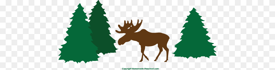 Moose Clipart Green Moose Trees Clipart, Animal, Mammal, Wildlife, Plant Free Transparent Png