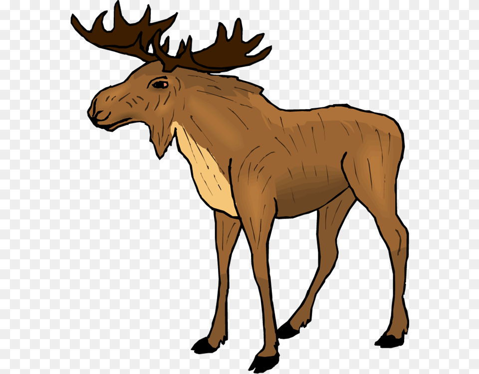 Moose Clipart Kid Moose Clipart, Animal, Mammal, Wildlife, Adult Free Transparent Png