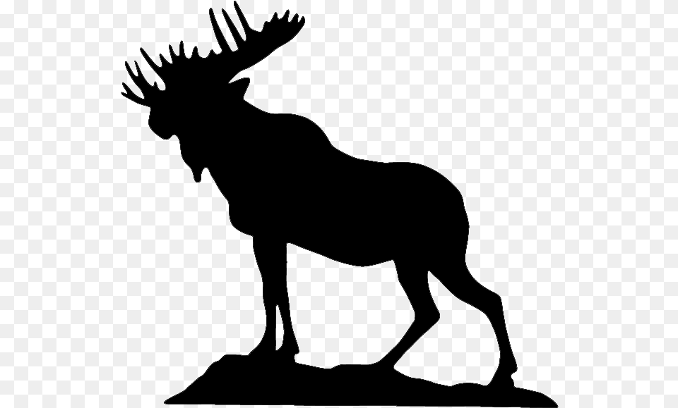 Moose Clipart Loyal Order Loyal Order Of Moose, Gray Png