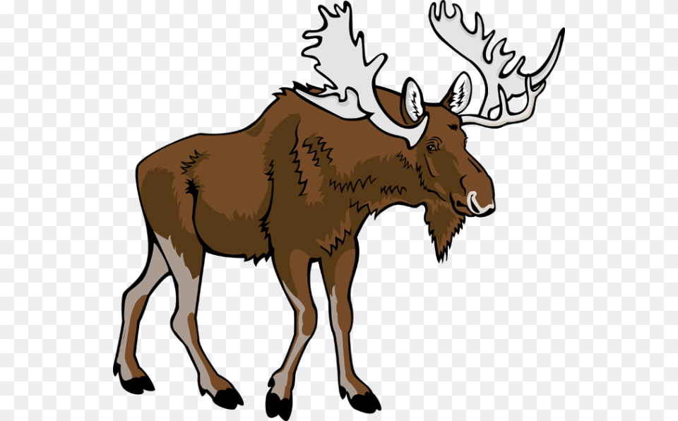 Moose Clipart Profile, Animal, Mammal, Wildlife, Deer Png