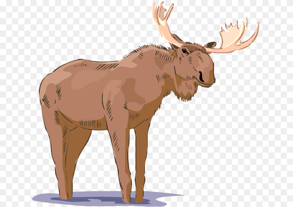 Moose Clipart Realistic Moose Clipart, Animal, Mammal, Wildlife, Adult Free Png Download