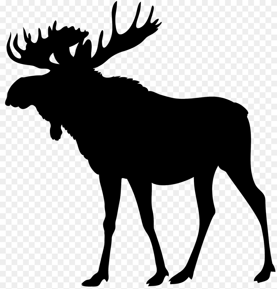 Moose Deer Silhouette, Animal, Mammal, Wildlife, Antelope Free Png