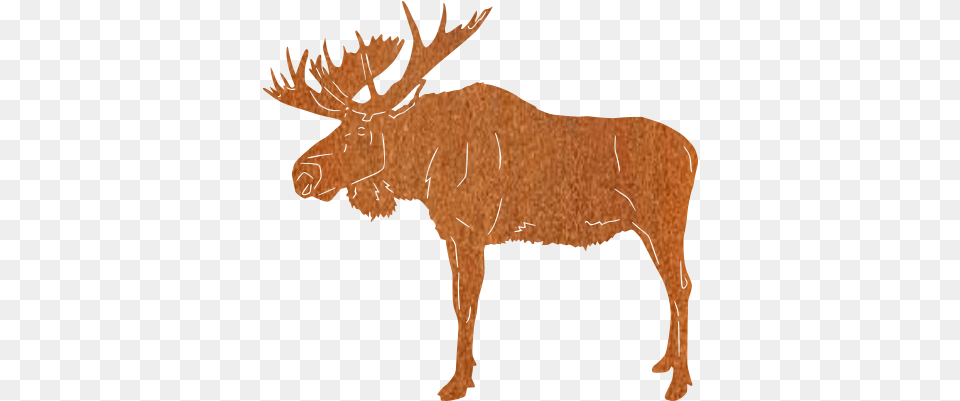 Moose Elk, Animal, Mammal, Wildlife, Deer Png