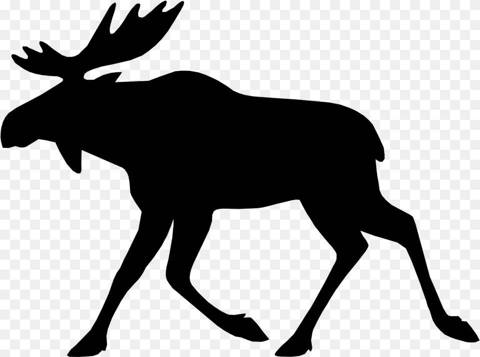 Moose Elk Deer Bear Moose Icon, Gray Free Png