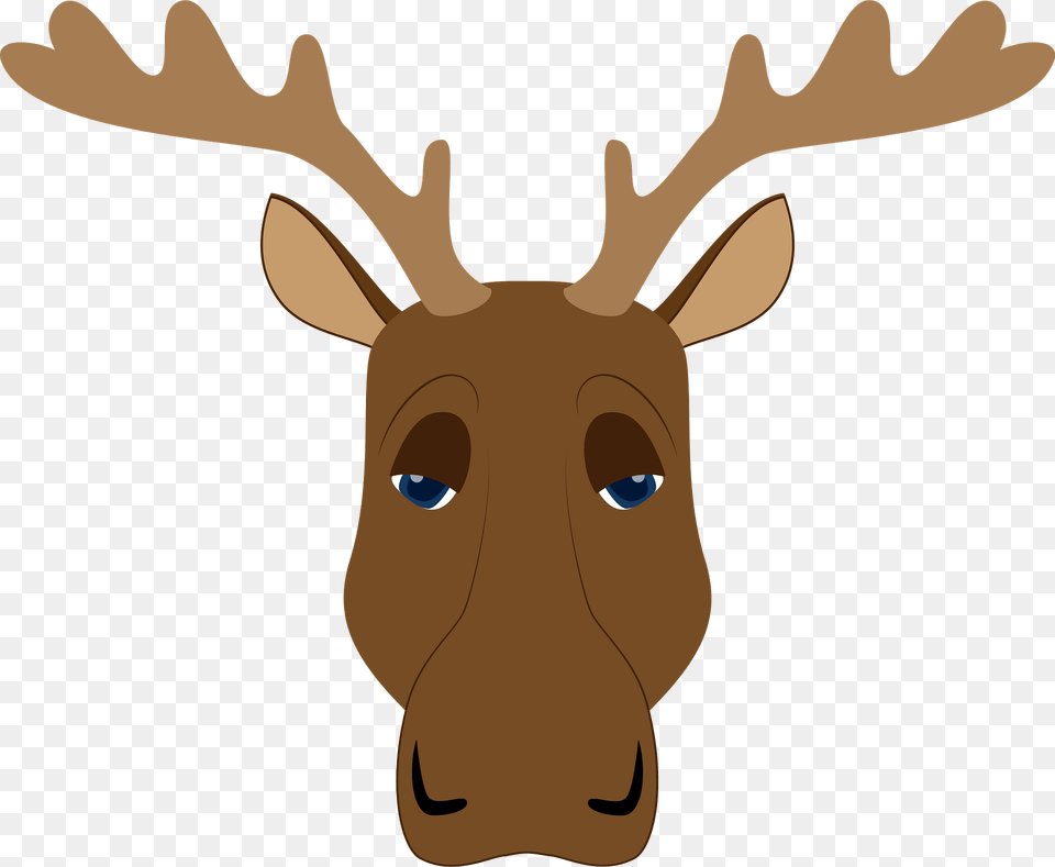 Moose Face Clipart, Animal, Mammal, Deer, Wildlife Png Image